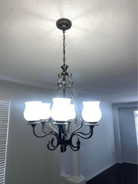Chandelier/ pendant light 2ft wide Adjustable length 6 bulbs