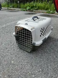 Cage transport animaux chat