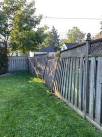 Fence services 