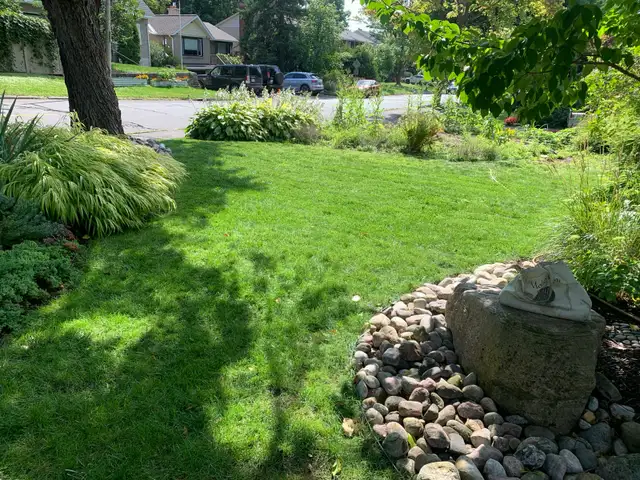 Westboro Yard Work561546765052170242