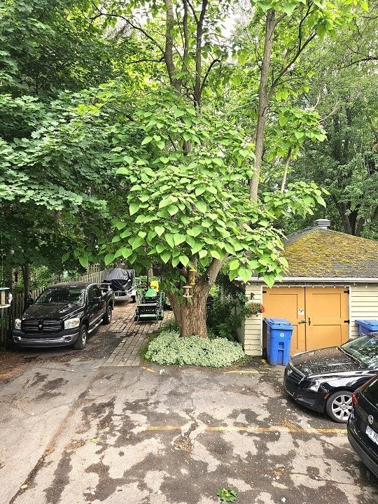 5 ½ dans le (vrai) Vieux Longueuil — photo 2