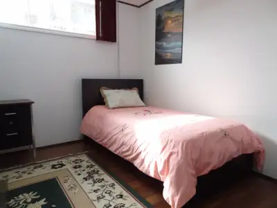GREAT FURNISHED BACHELOR RENOVATED in BASEMENT + Separate KITCHE