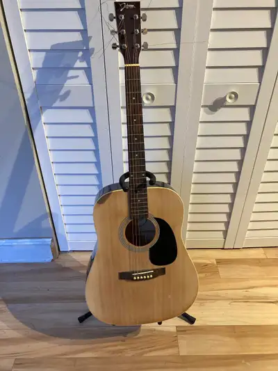 Acoustic Guitar (Johnson 608), View more