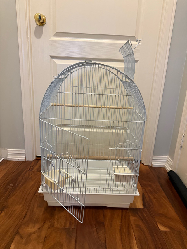 bird cage in Birds for Rehoming in City of Toronto - Image 2