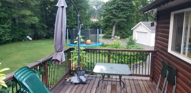 All seasons 4 bedrooms cottage on Balsam lake in Ontario in Canada - Image 9