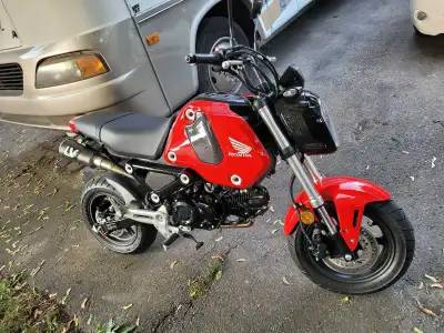 Dual exhaust, carbon Fibre, barely used, only put 200km on with them since new