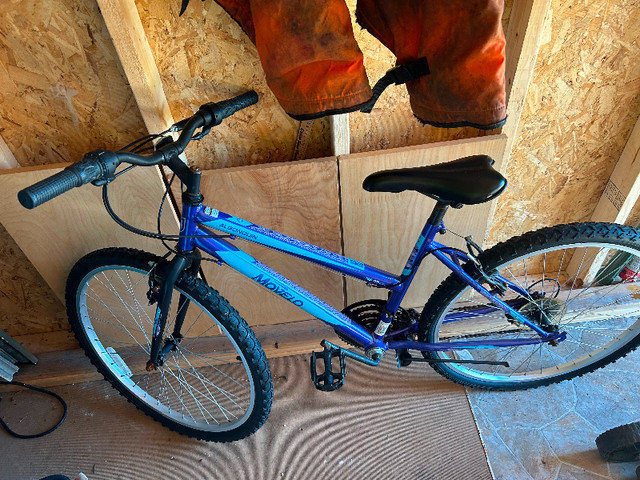 Bicycle for sale in Mountain in Dartmouth - Image 2
