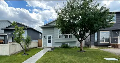 House for rent