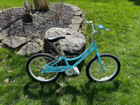 Raleigh : Jazzy 20 Bicycle (Price drop)