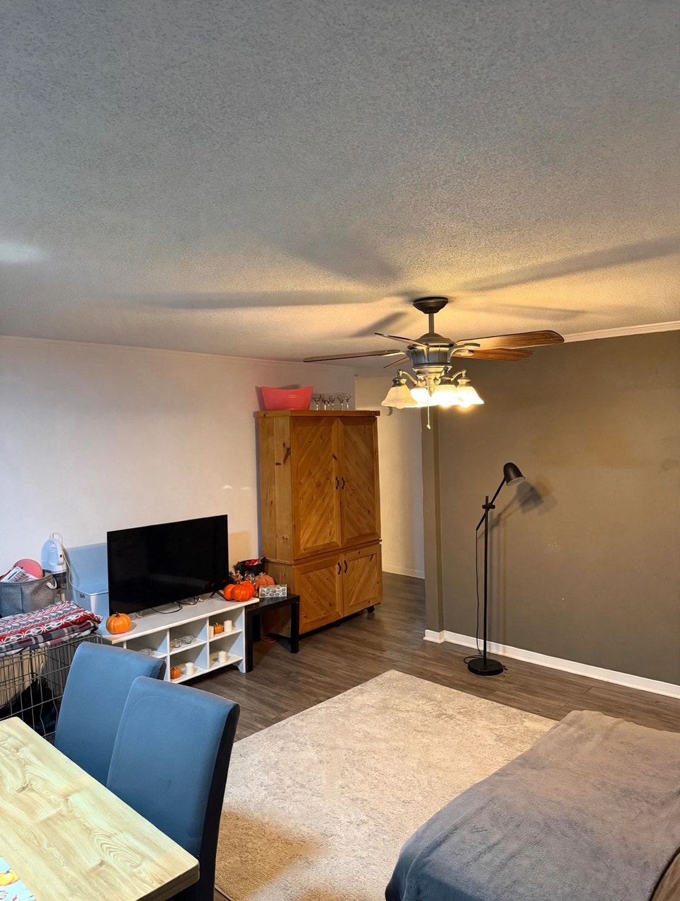 appartement 2 chambre 1 salle de bain a louer 2