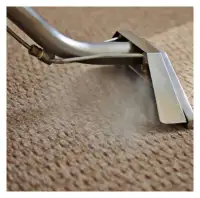 2 rooms $79 Carpet Steam Cleaning