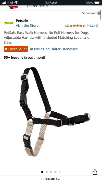 Accessoires pour chien Dog accessories, View more