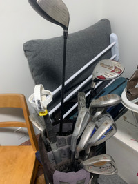 Golf bag with push cart