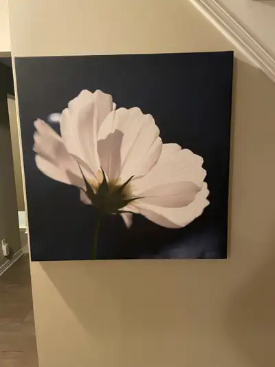 Two Canvas Art $20, View more