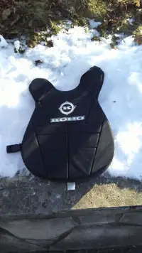 Road hockey chest protector