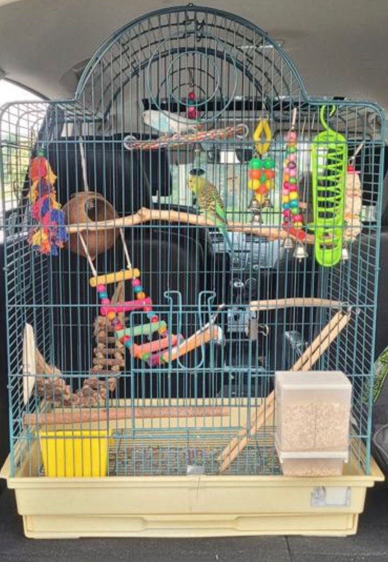 XLarge bird cage for sale Accessories Kitchener / Waterloo Kijiji