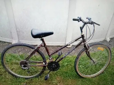 vélo ou bicyclette de couleur brun, roues de 26 pouces, 15 vitesses. Peinture égratignée et un peu d...