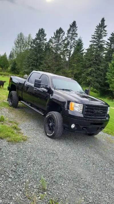 Gasket de tete stud et la tête a été refait il a 15 000km Fasse fuel pump convertion CP3 EFI live 5...