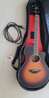 APX 600 Acoustic guitar