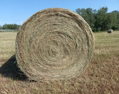Quality 20% Alfalfa Timothy mix hay $175 Quality Timothy Orchard Meadow Brome grass mix hay $150 No...
