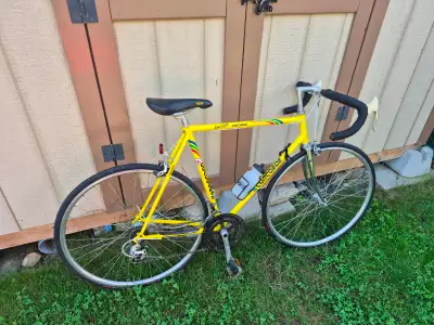 Tuned Concorde 12 speed road bicycle, View more