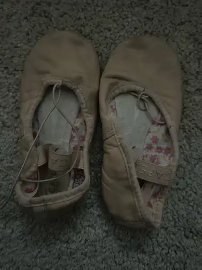 USUALLY 30 // very good quality with a quick wash would be brand new only cash message me if interes...