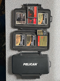 CF Memory cards and Pelican Cases