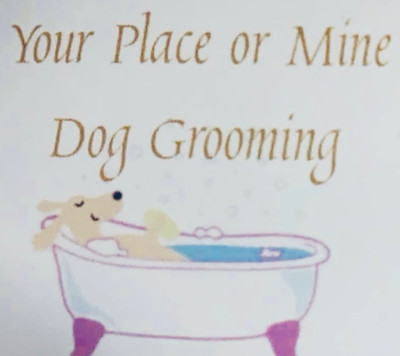 Your Place or Mine Mobile Dog Grooming