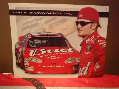 Dale Earnhardt Jr, View more