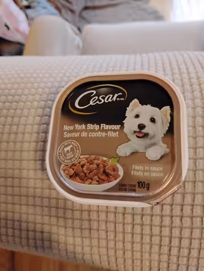 Nourriture humide pour chien César saveur de boeuf à 0.75$