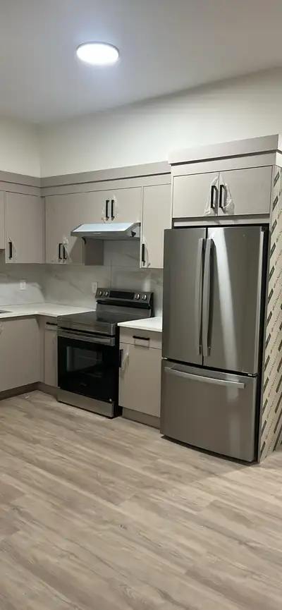 2 bedroom 1 bathroom brand new walkout basement for rent near Canyon falls middle school in upper mi...