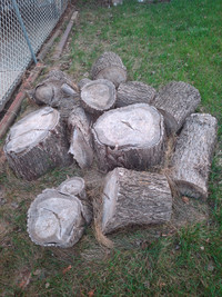 Wood for free