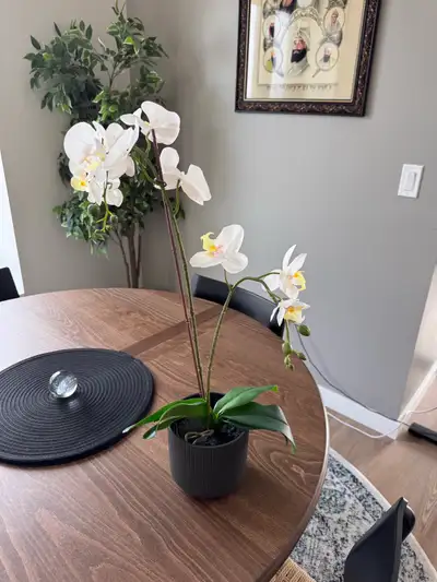 IKEA FEJKA Artificial Orchid Plant – White – Includes Pot, View more