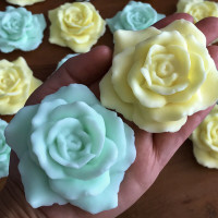 Adorable, innovative SOAP FAVORS for all occasions.