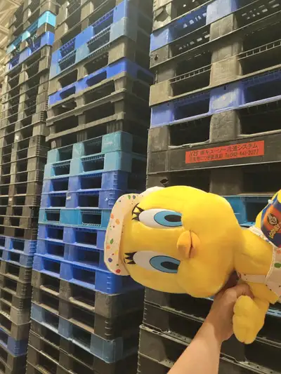 indoor warehouse sells PLASTIC AND wood PALLETS in GOOD shape!!, View more