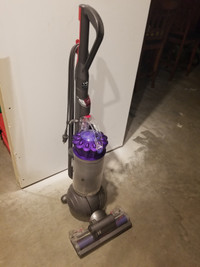 Dyson Animal DC - for pets