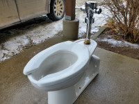 American standard toilet