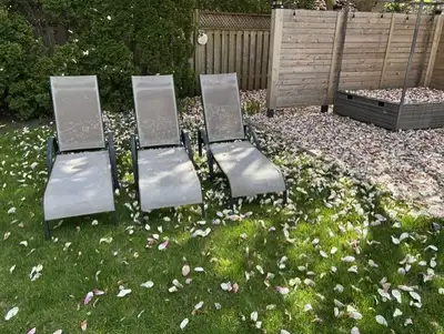 3 Patio Loungers With Covers, View more