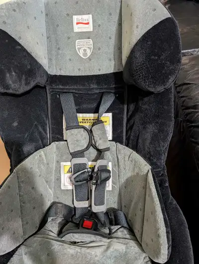 seat and seat protector - free, View more
