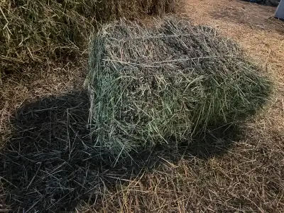 Hay bales for sale, View more