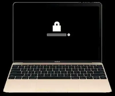 PASSWORD REMOVAL MACBOOK PRO/AIR EFI/ICLOUD, View more