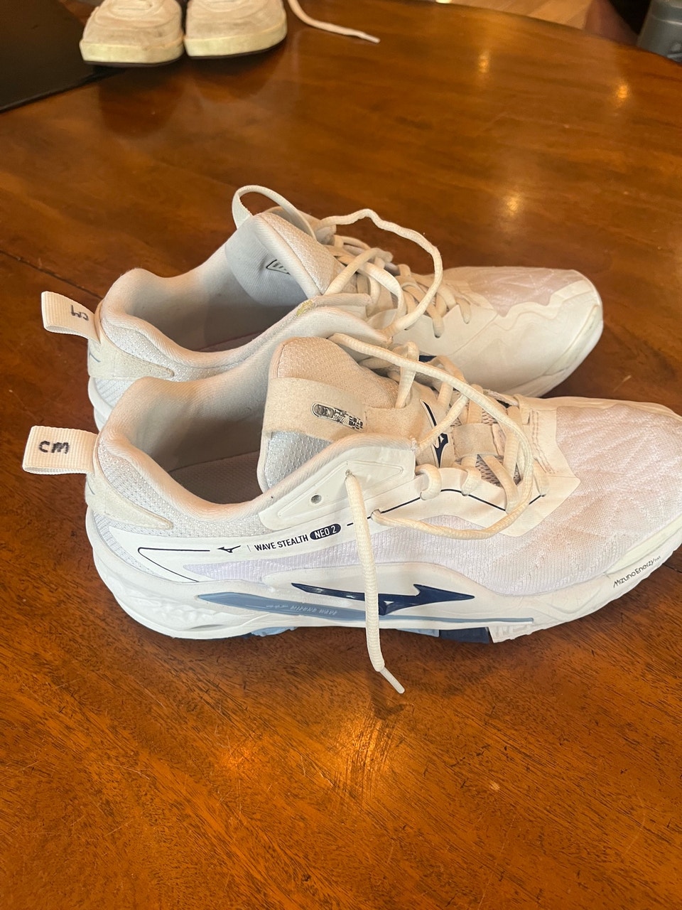 Mizuno, Mizuno Wave Stealth Neo 2 US Size 8 volleyball shoes