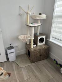 Cat tree with litter box enclosure