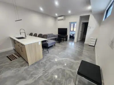 Furnished 1 bedroom apartment Vanier/Beechwood