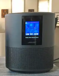 Bose 300 speaker