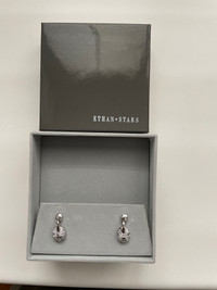Stainless Steel new boxed earrings 