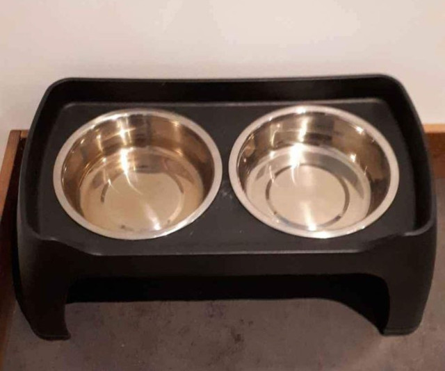Dog Bowl Stand in Accessories in Mission - Image 2