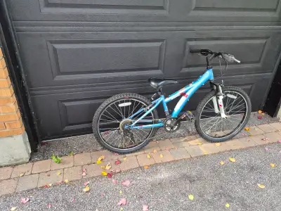 Girls Diamondback Tess 24" tire bike, View more