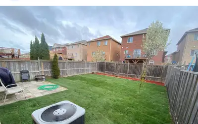 Landscape and Weeds cleaning services, View more