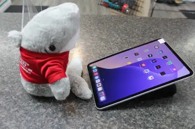 iPad Pro (M4, 11-inch), View more